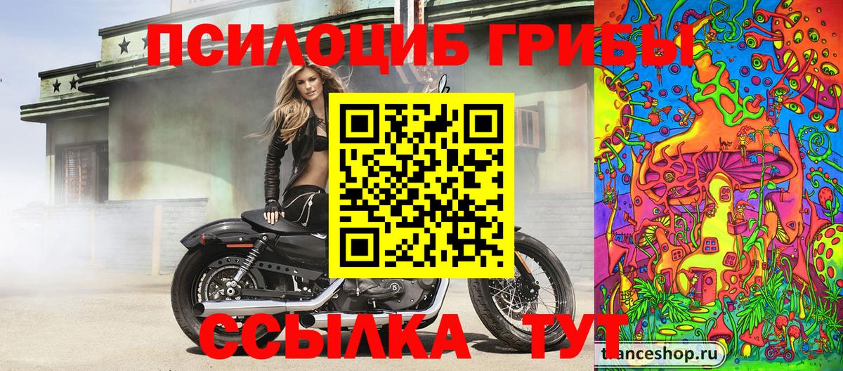 Павловский Посад  Псилоцибиновые грибы мухоморы  Вход с VPN  Галлюциногенные грибы GOLDEN TEACHER 